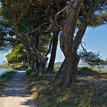 Agreable Maison De Famille Sur Gite Echarou Sigean Εξωτερικό φωτογραφία