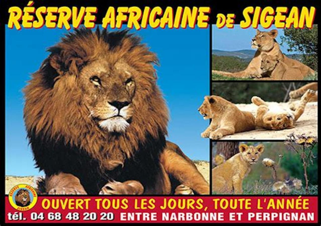 Agreable Maison De Famille Sur Gite Echarou Sigean Εξωτερικό φωτογραφία